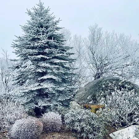 Bucket List Views Sugar Mountain Private Condo - 2Bed, 2Bath, Sleeps 6, Panoramic Views Of Mountains From Large Deck, Short Drive To Shopping, Restaurants, Cafes & Banner Elk Town Exterior photo