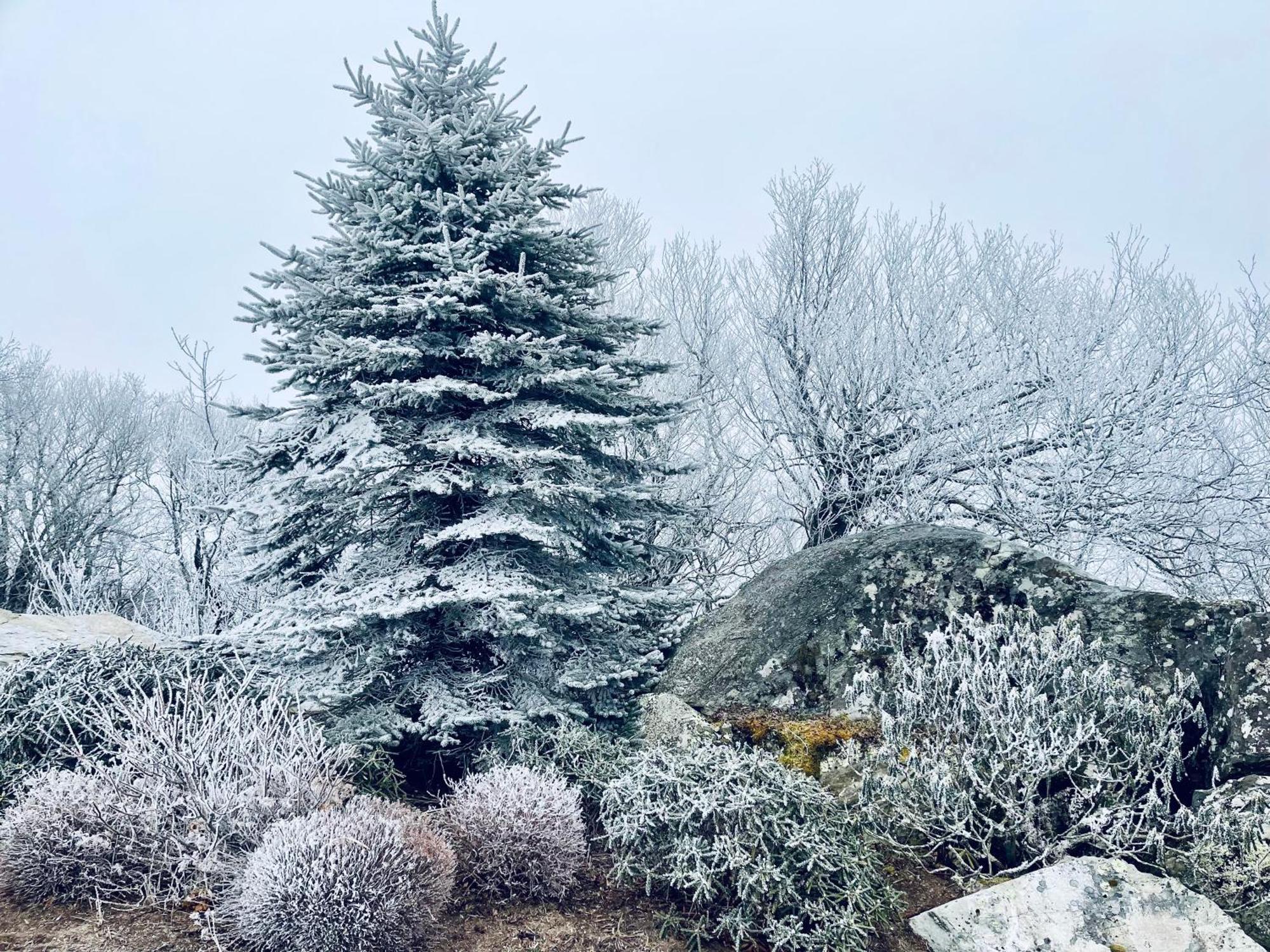 Bucket List Views Private - 2bed, 2bath, Sleeps 6, Panoramic Views Of Mountains From Large Deck, Short Drive To Shopping, Restaurants, Cafes & Banner Elk Town Apartment Sugar Mountain